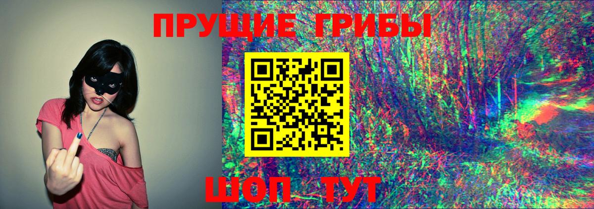 Псилоцибиновые грибы Psilocybine cubensis  Галлюциногенные грибы прущие грибы  Егорьевск  Вход с VPN 